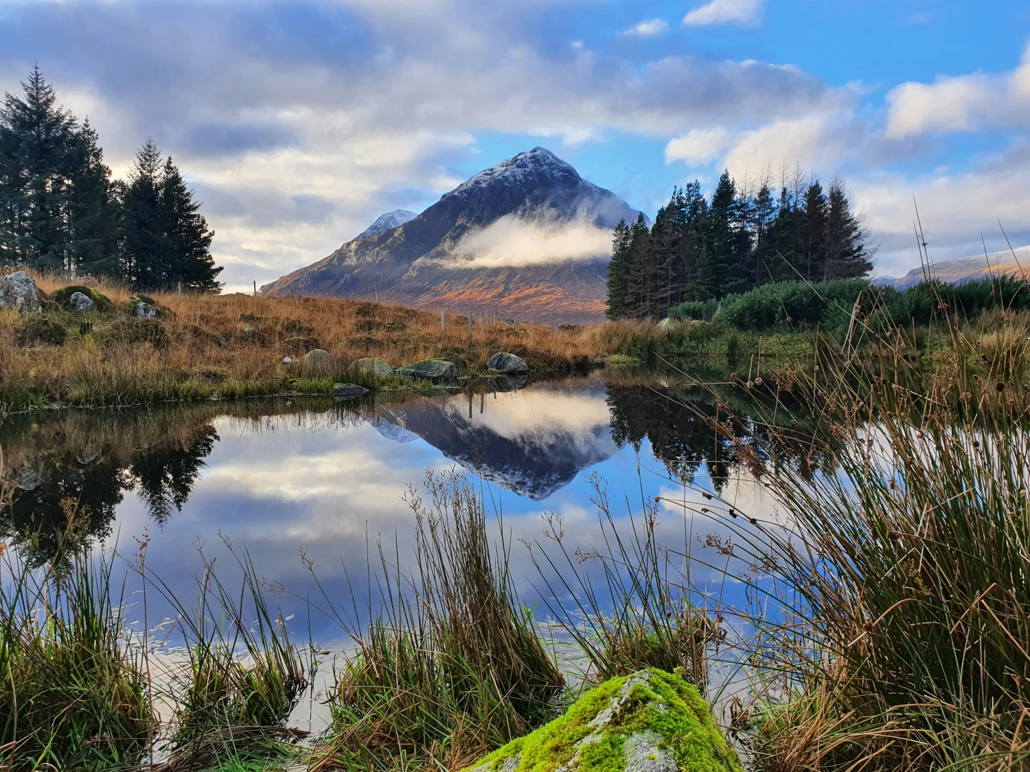 Buachaille Etive Mòr reflected in a still lochan, framed by pines and a moss-covered rock in the foreground
